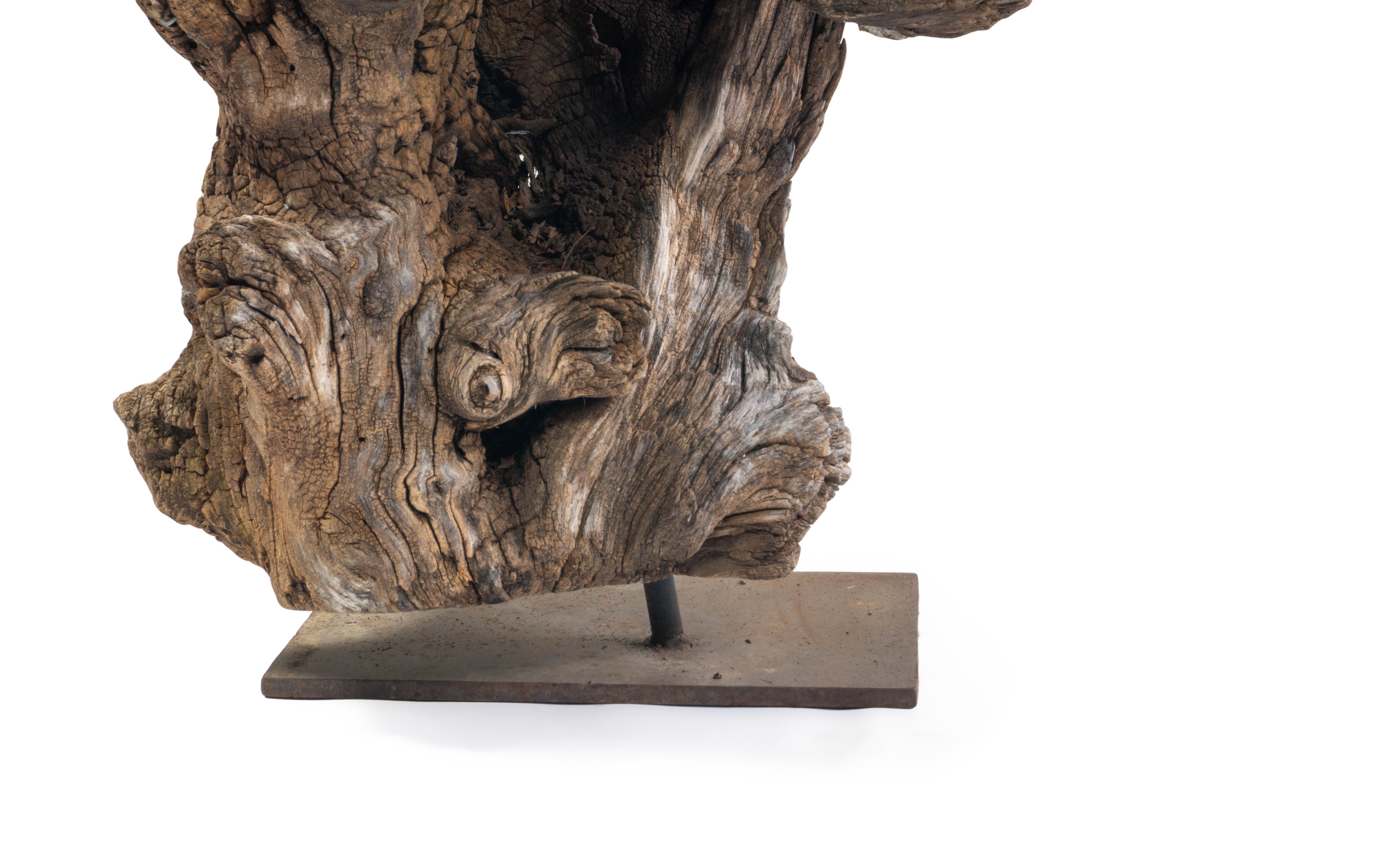Organic Form Teak Sculpture
