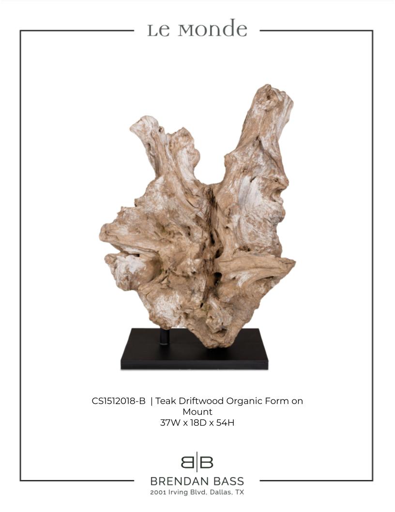 Teak Wood Organic Form on Mount