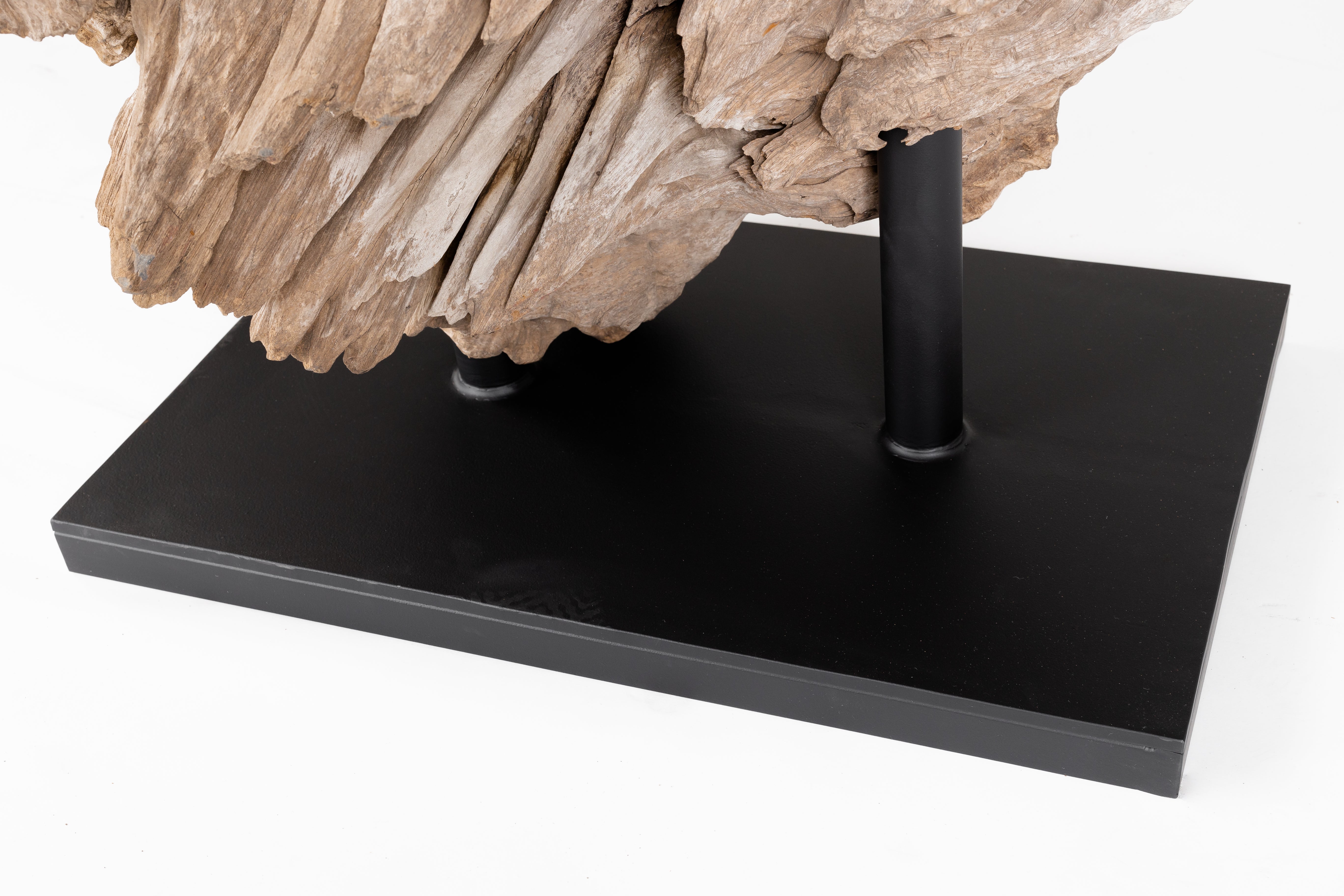 Teak Wood Organic Form on Mount