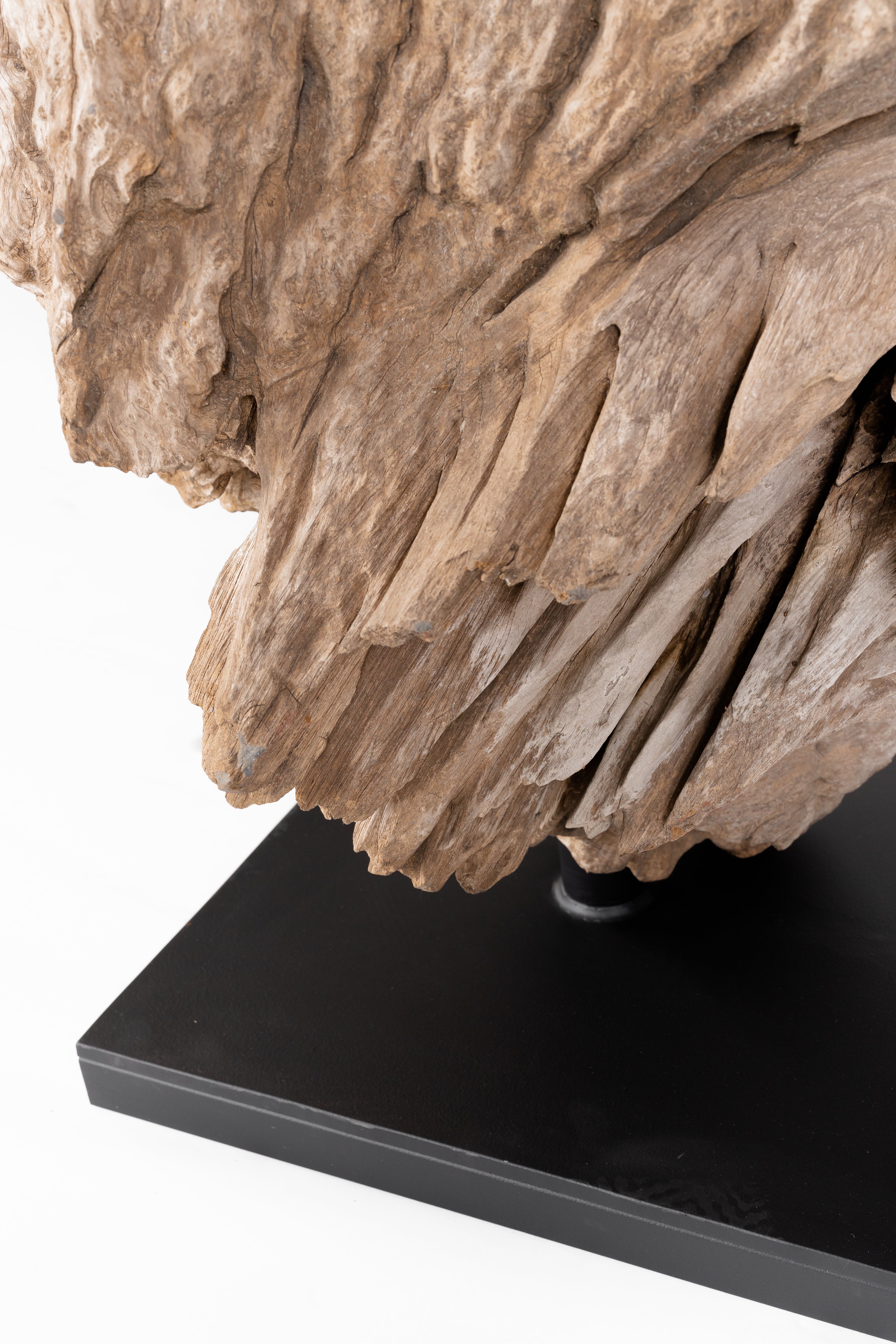Teak Wood Organic Form on Mount