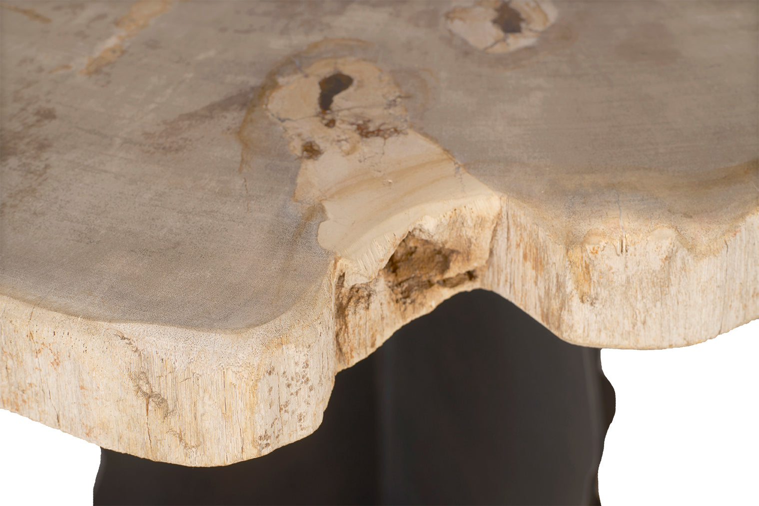 Petrified Wood Top on Free-Hand Ebonized Steel Base End Table