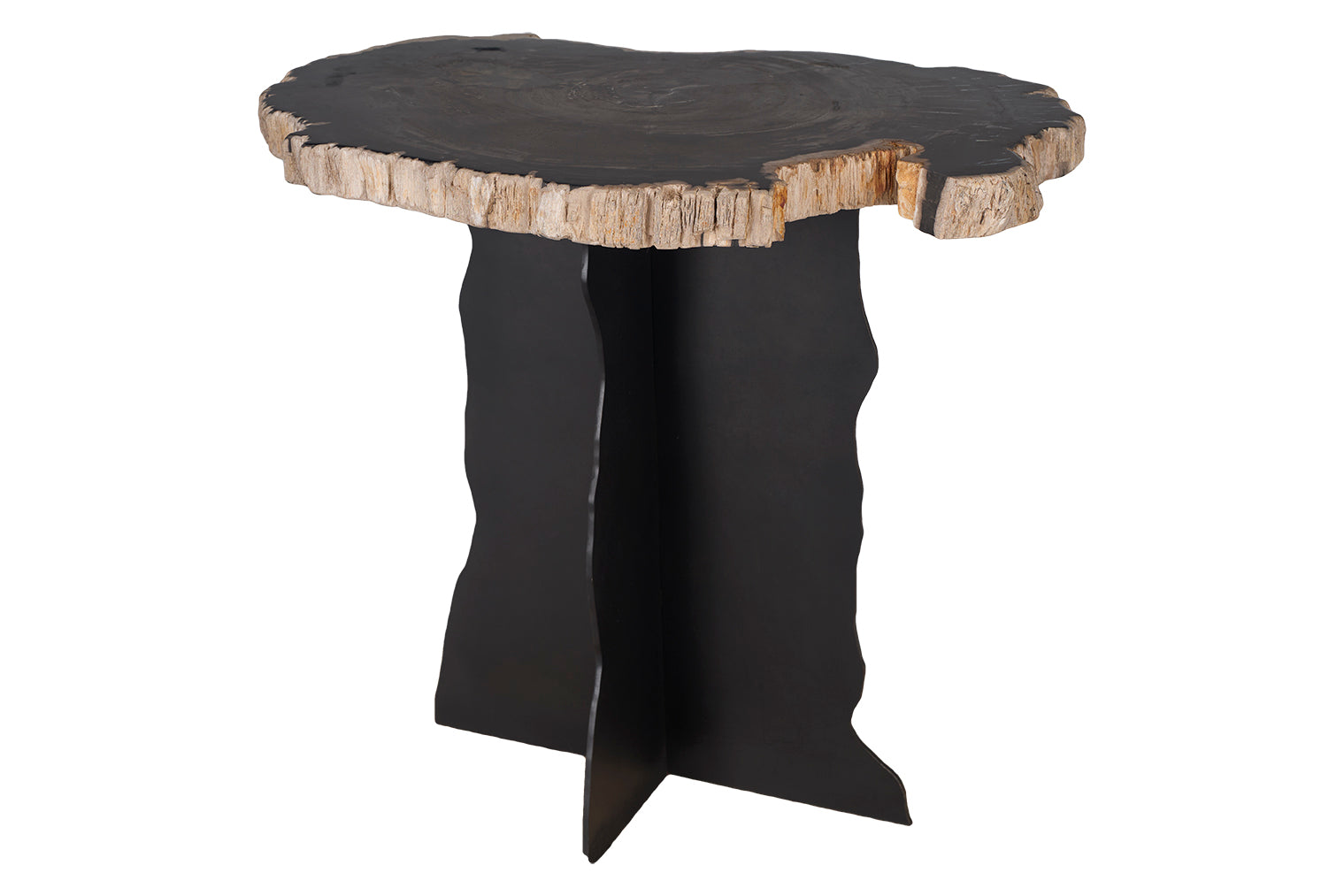 Petrified Wood Top on Free-Hand Ebonized Steel Base End Table