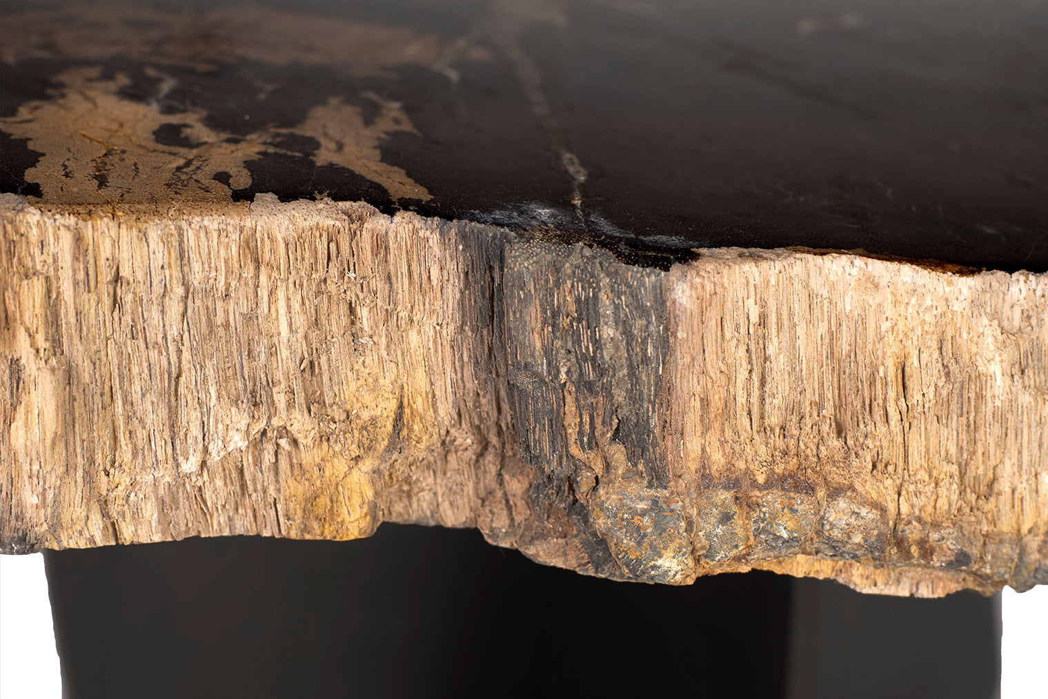 Petrified Wood Top on Free-Hand Ebonized Steel Base End Table