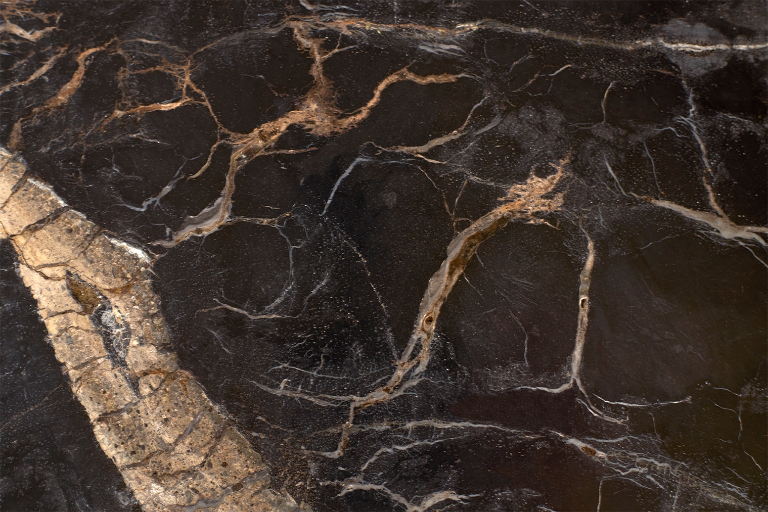 Petrified Wood Top on Free-Hand Ebonized Steel Base End Table