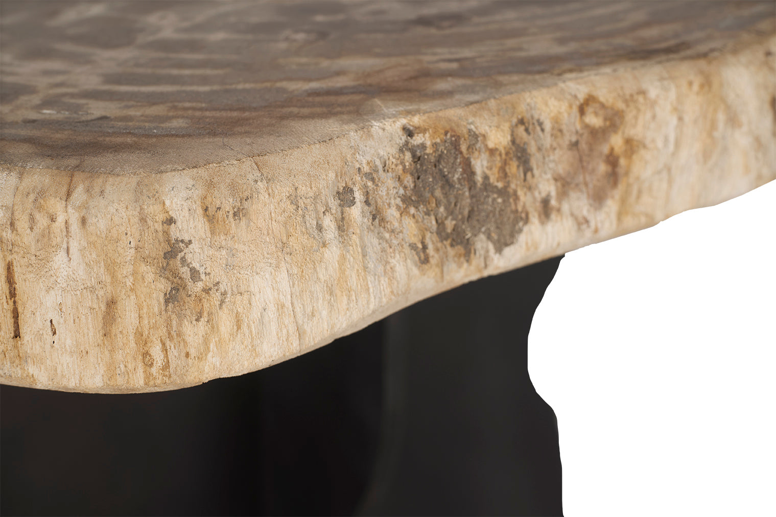 Petrified Wood Top on Free-Hand Ebonized Steel Base End Table