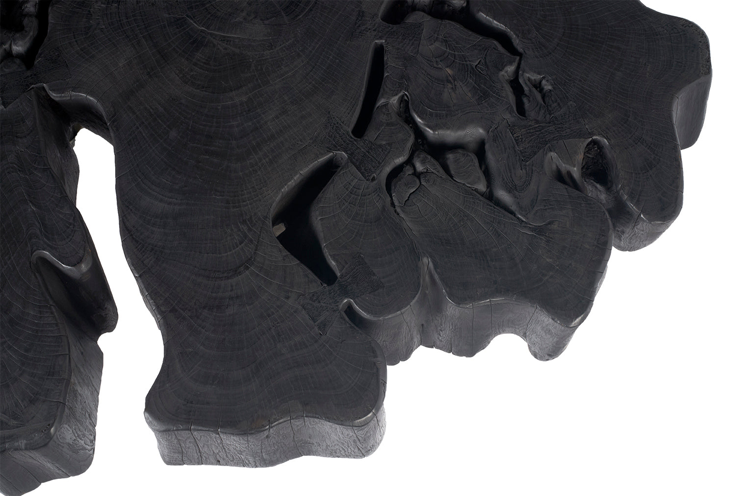 Ebonized Organic Form Lychee Wood Coffee Table