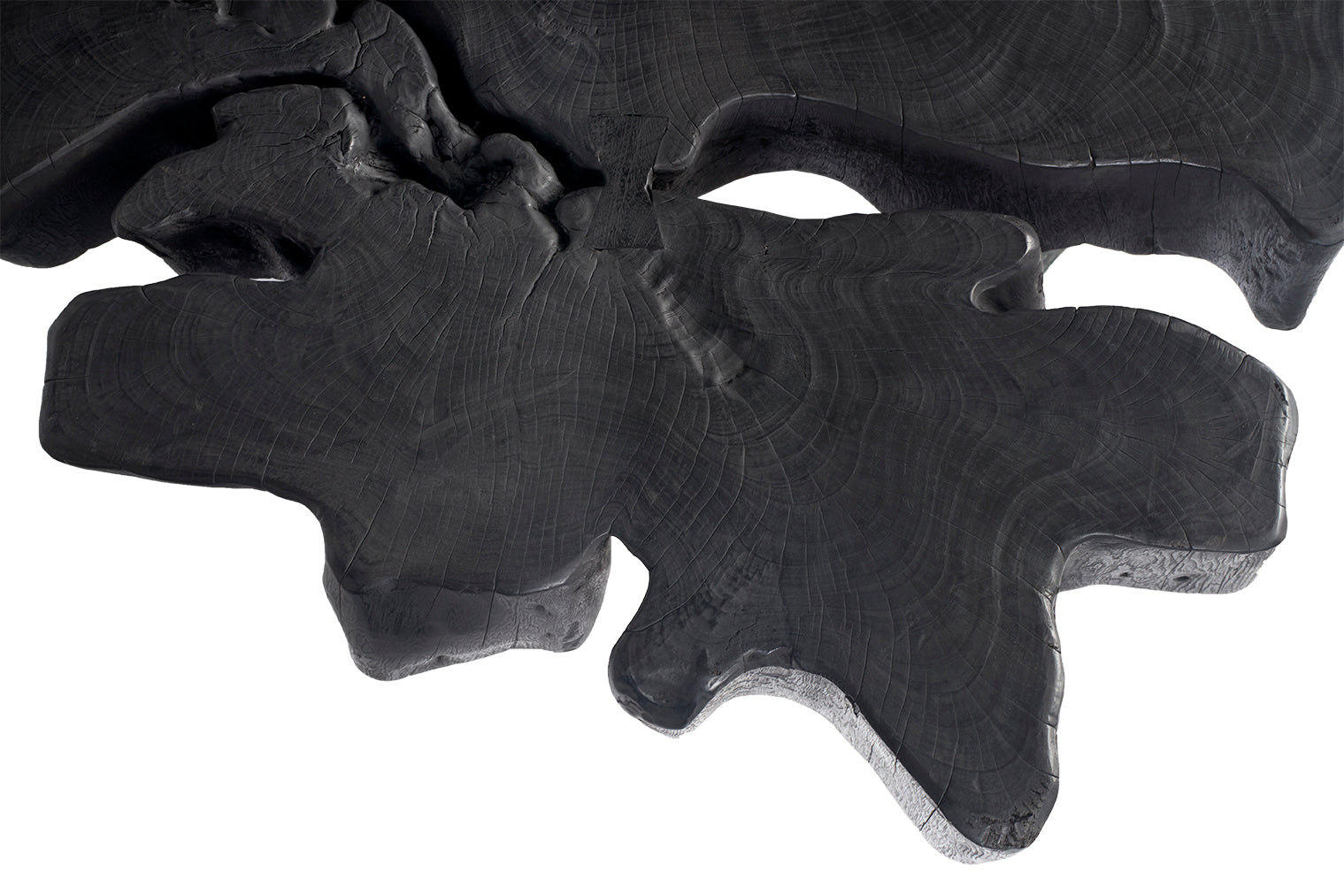 Ebonized Organic Form Lychee Wood Coffee Table