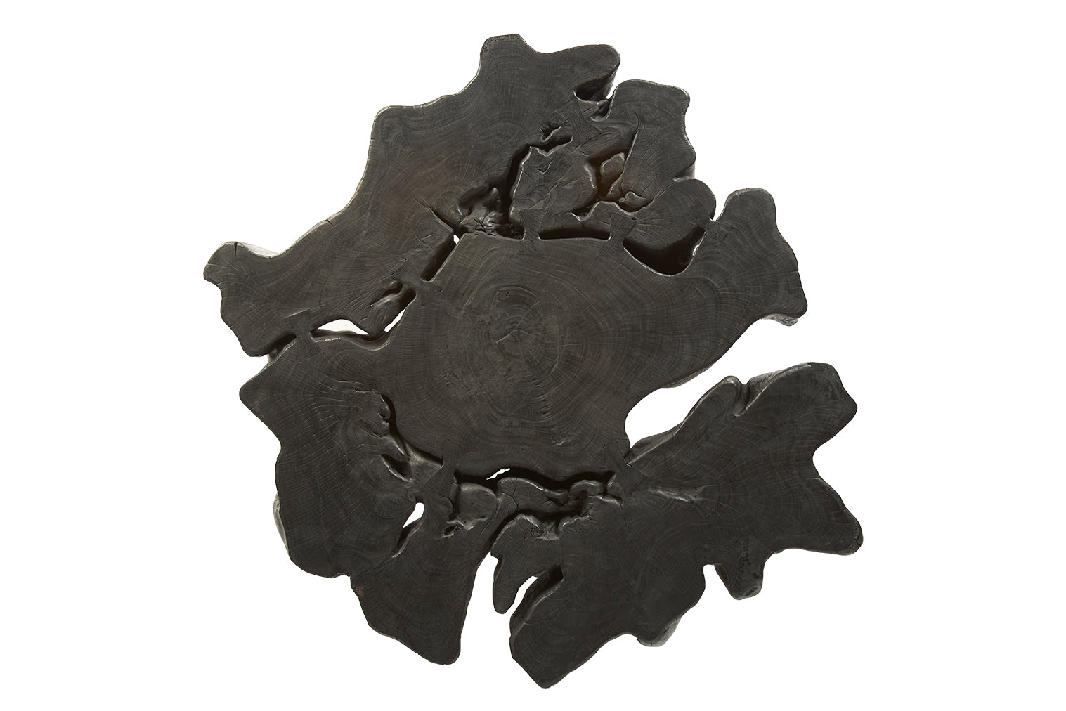 Ebonized Organic Form Lychee Wood Coffee Table