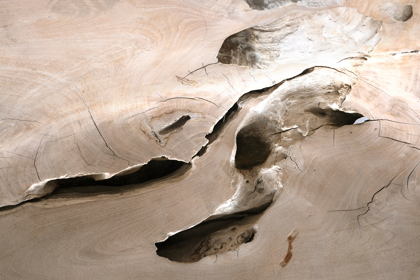 Monumental Teal Wood Outdoor Bench