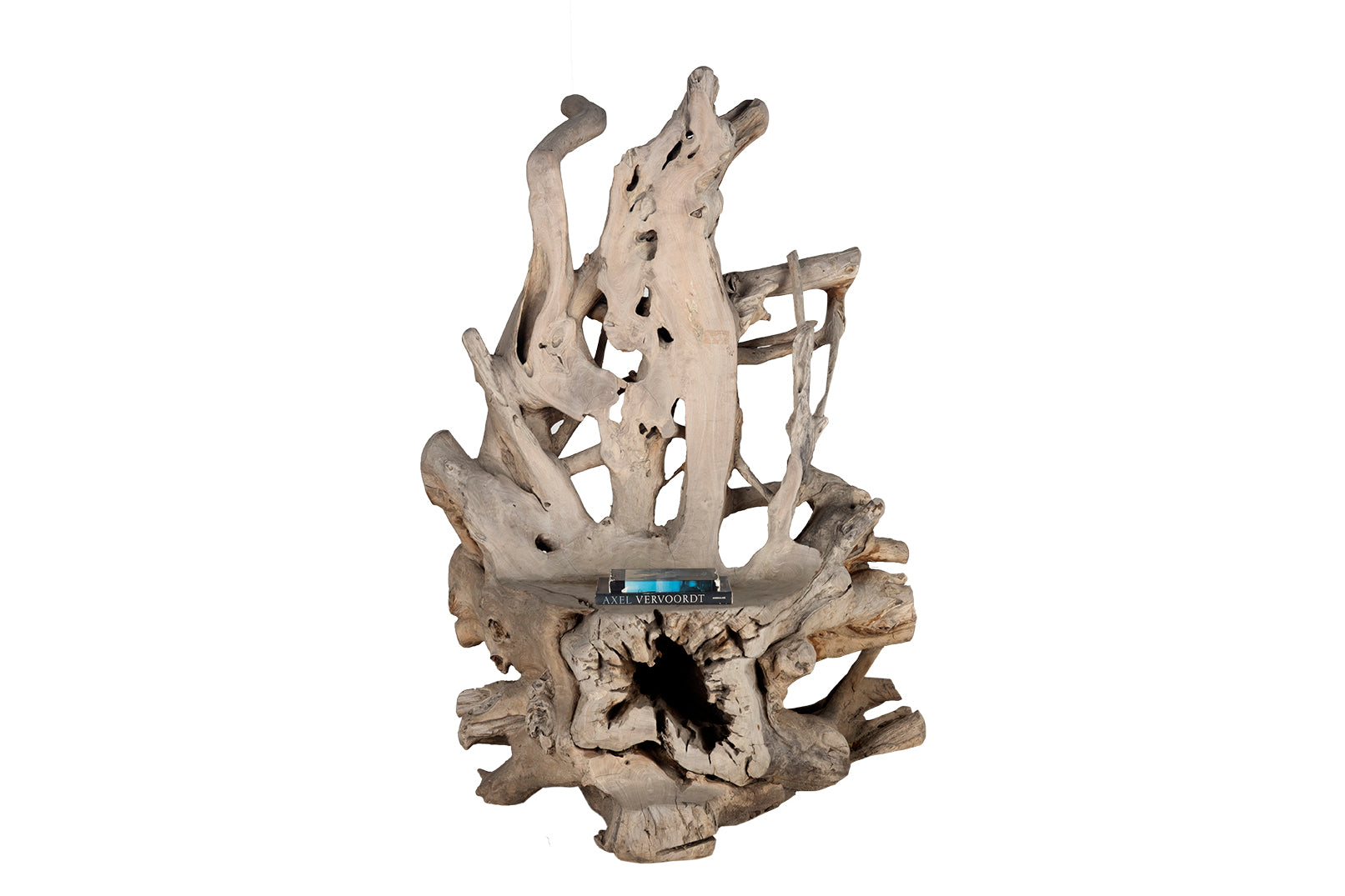 Organic Root Wood Form Outdoor Teak Chair