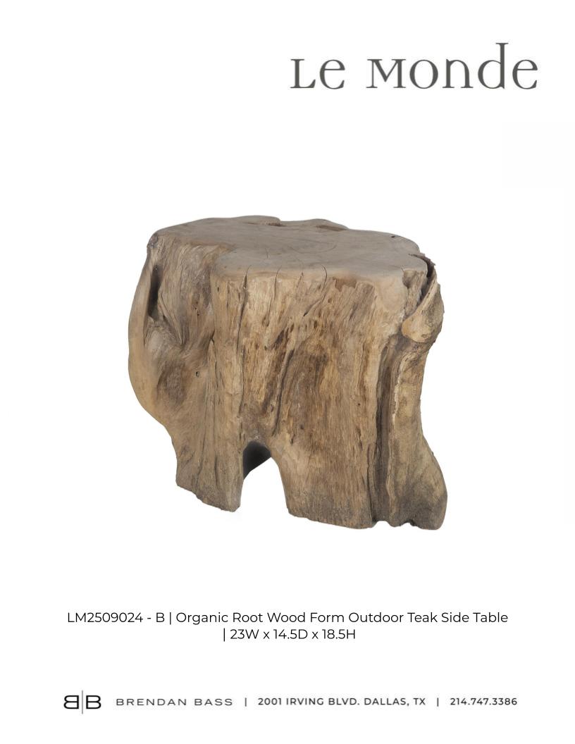 Organic Root Wood Form Teak Side Table
