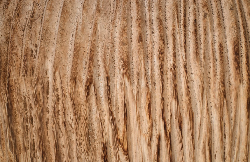 Carved Reclaimed Elm Blonde Round Side Table