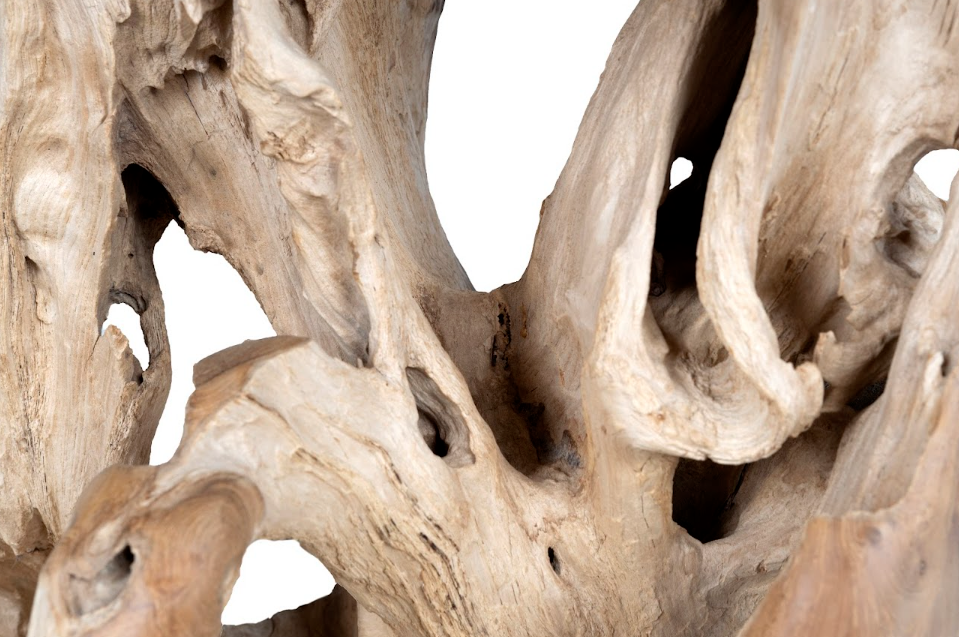 Organic Form Teak Center Table