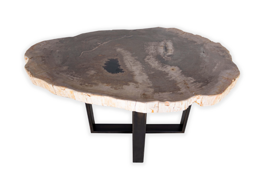 Petrified Wood Slab on Cross Sectional Patina Steel Base
