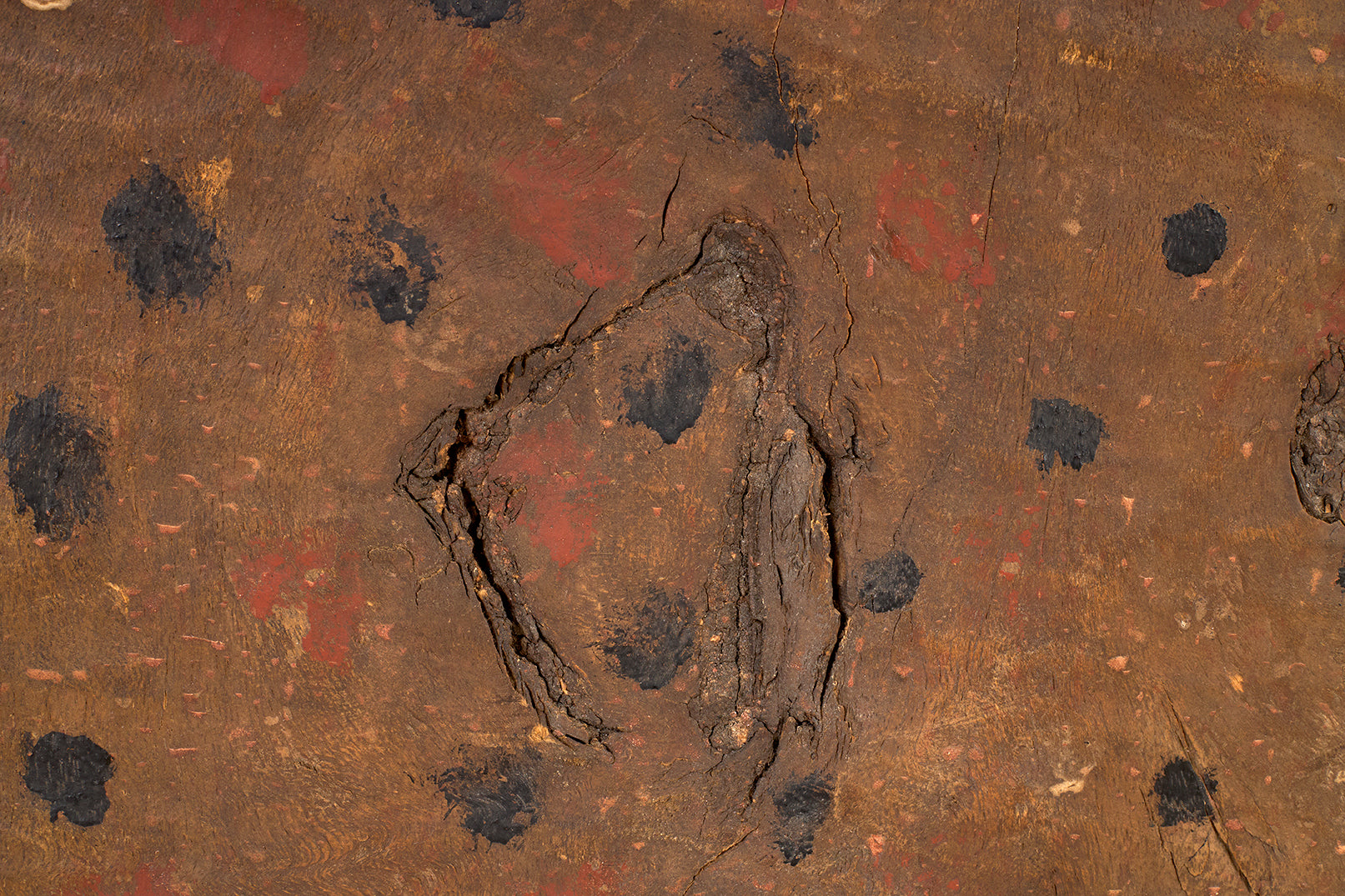 African Carved and Painted Bird Shield