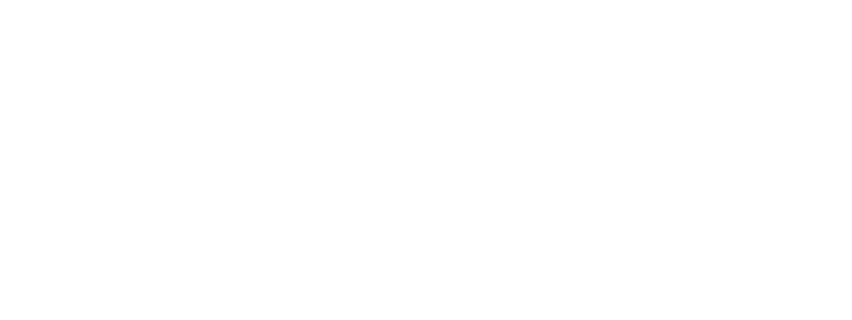 Brendan Bass