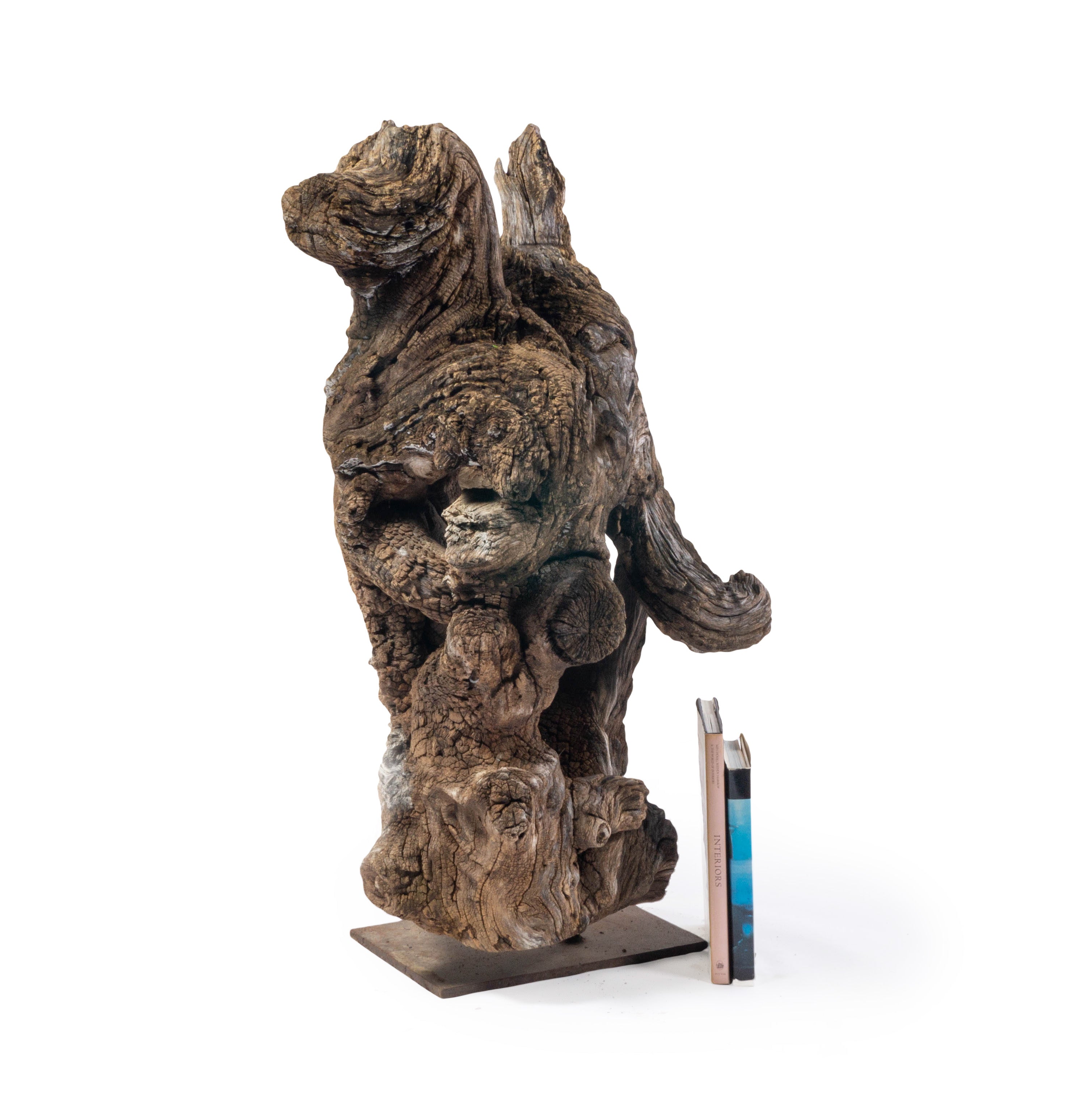 Organic Form Teak Sculpture