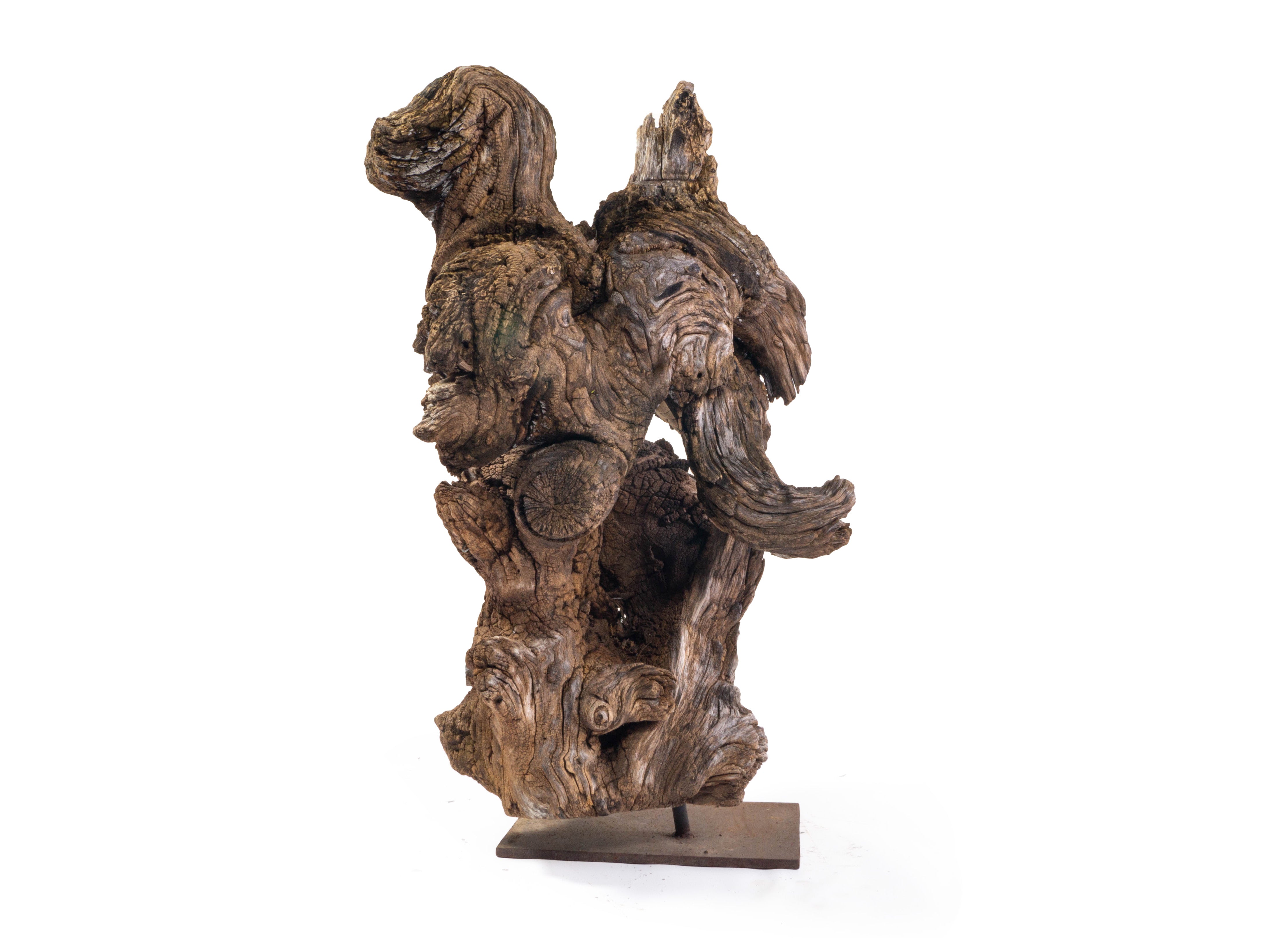 Organic Form Teak Sculpture