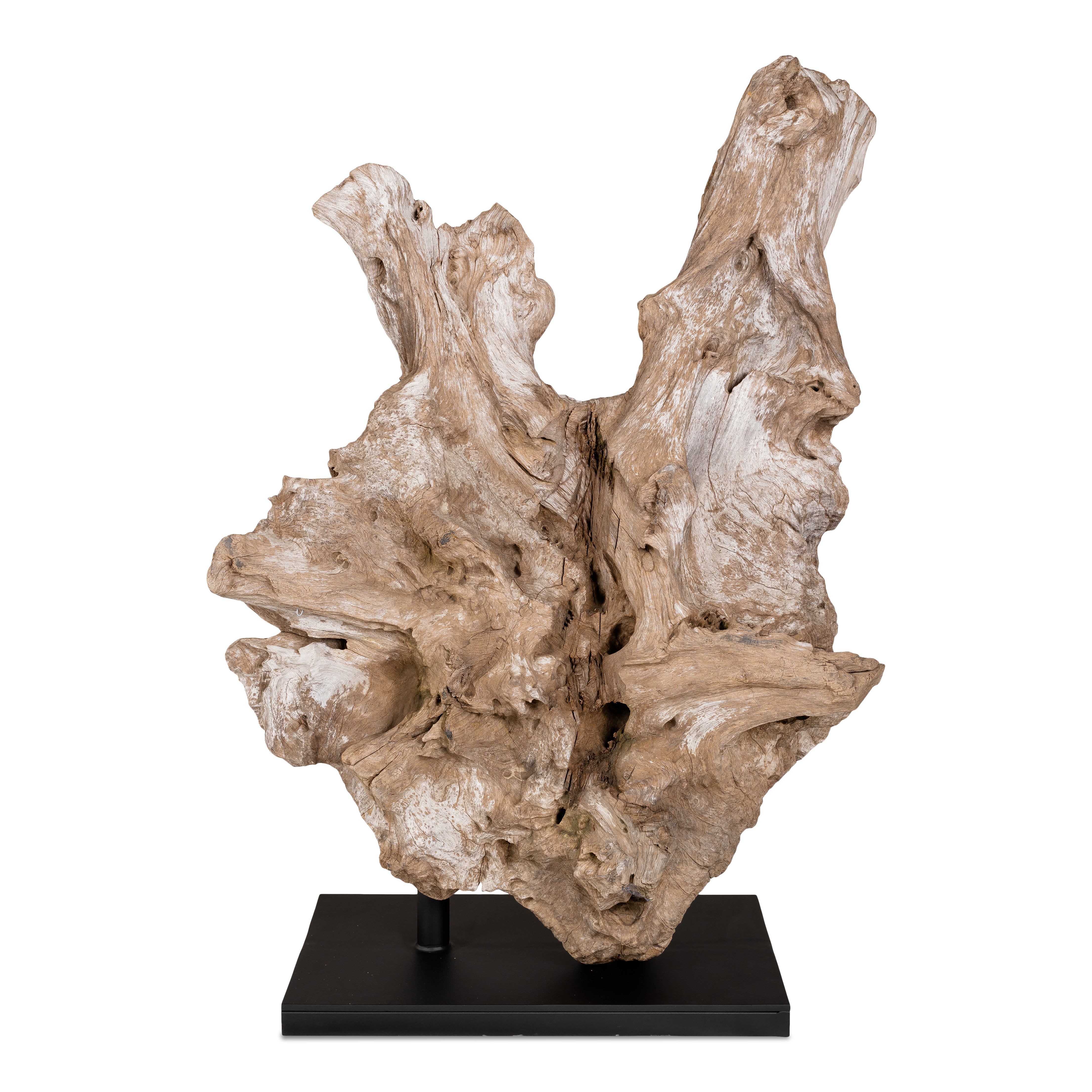 Teak Wood Organic Form on Mount
