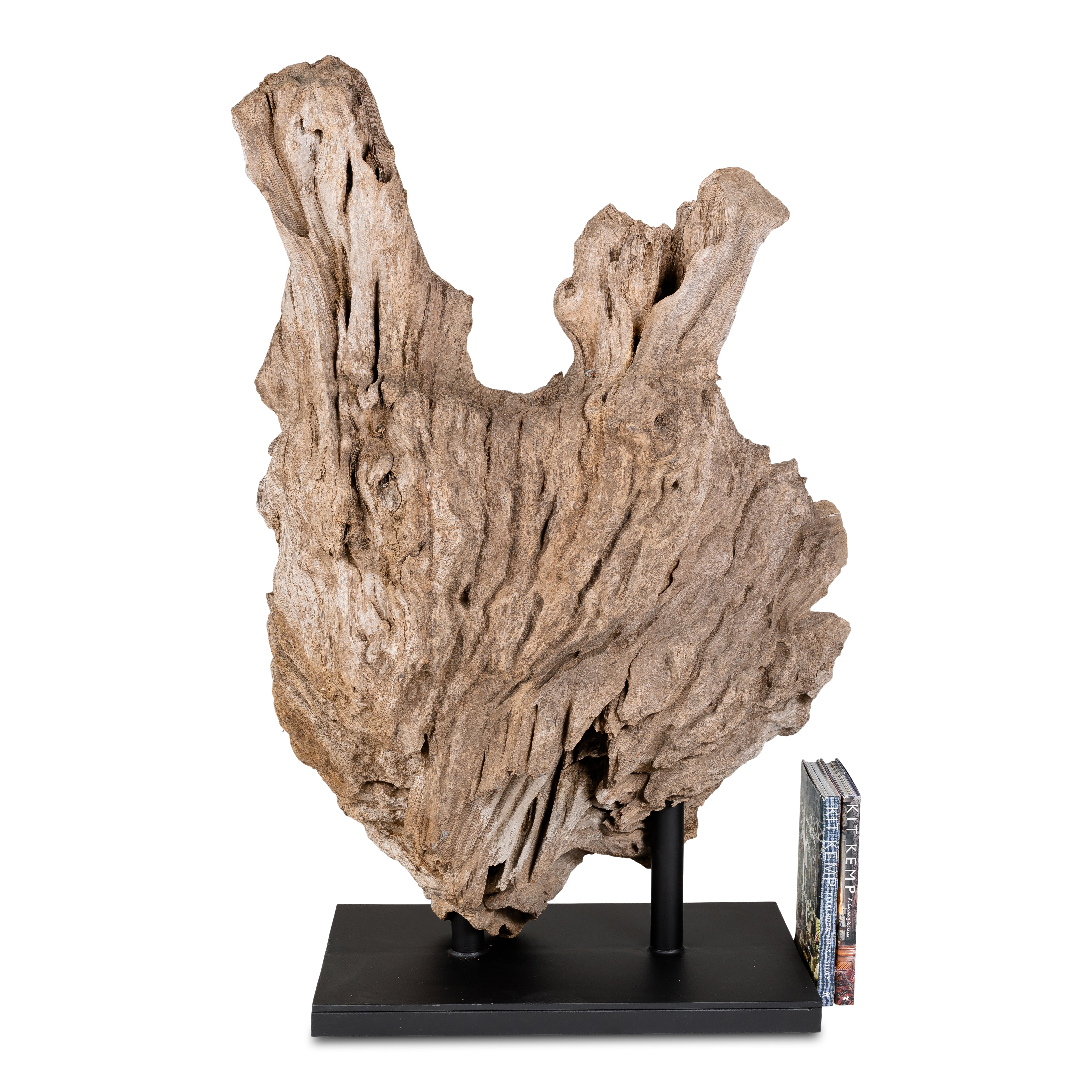 Teak Wood Organic Form on Mount