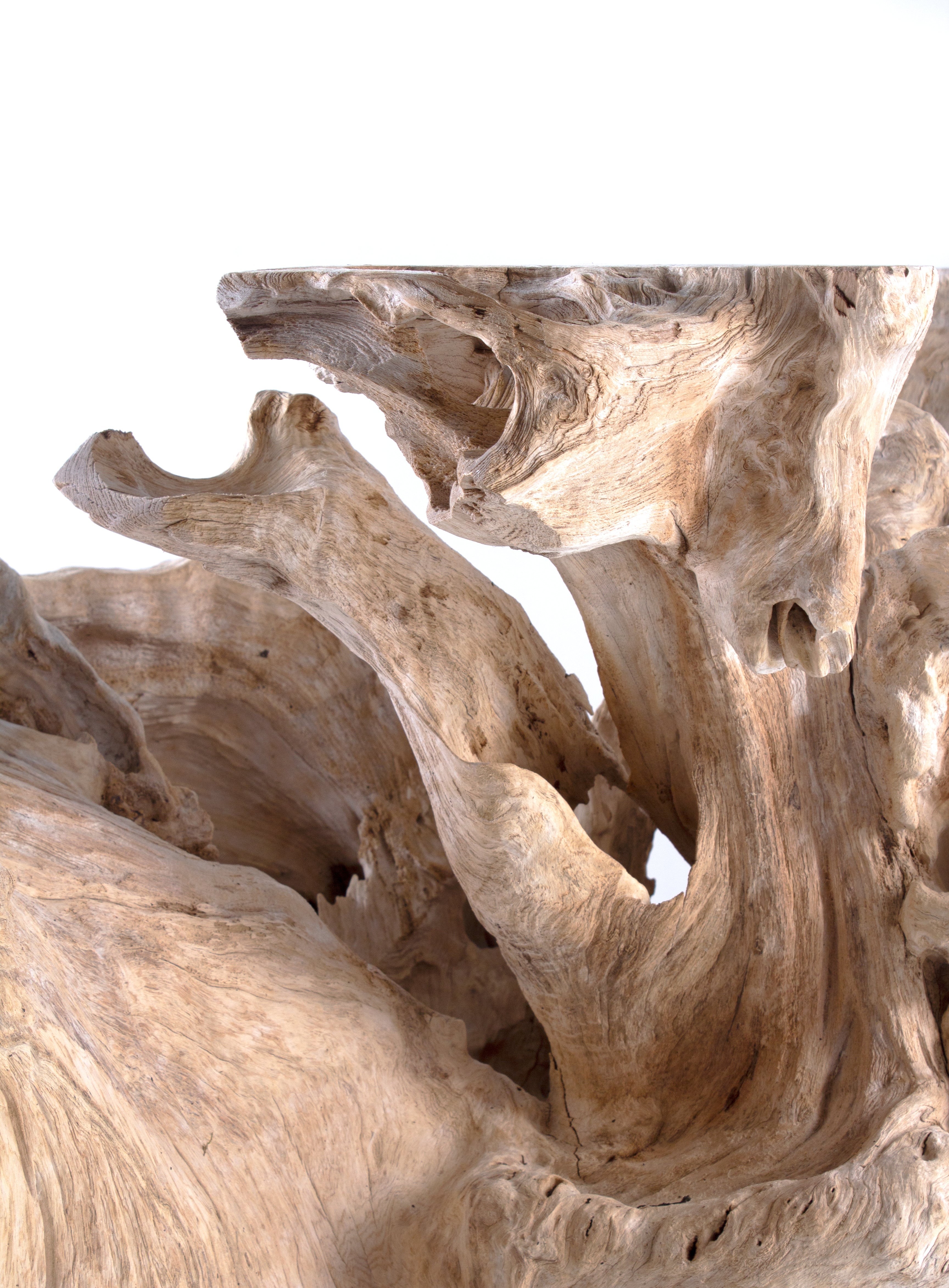 Organic Modern Teak Wood Console Table