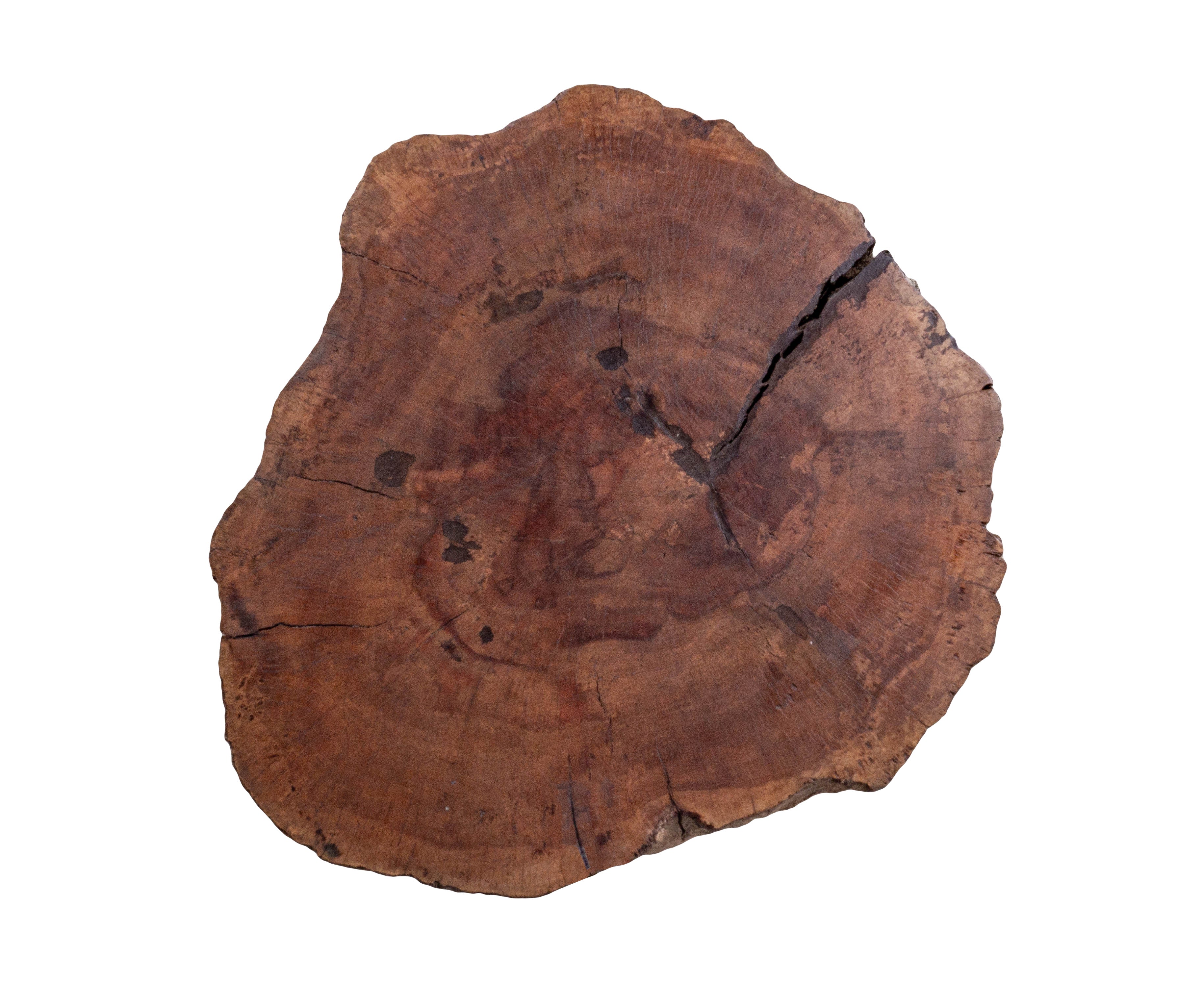 Lychee Wood Organic Form Side Table