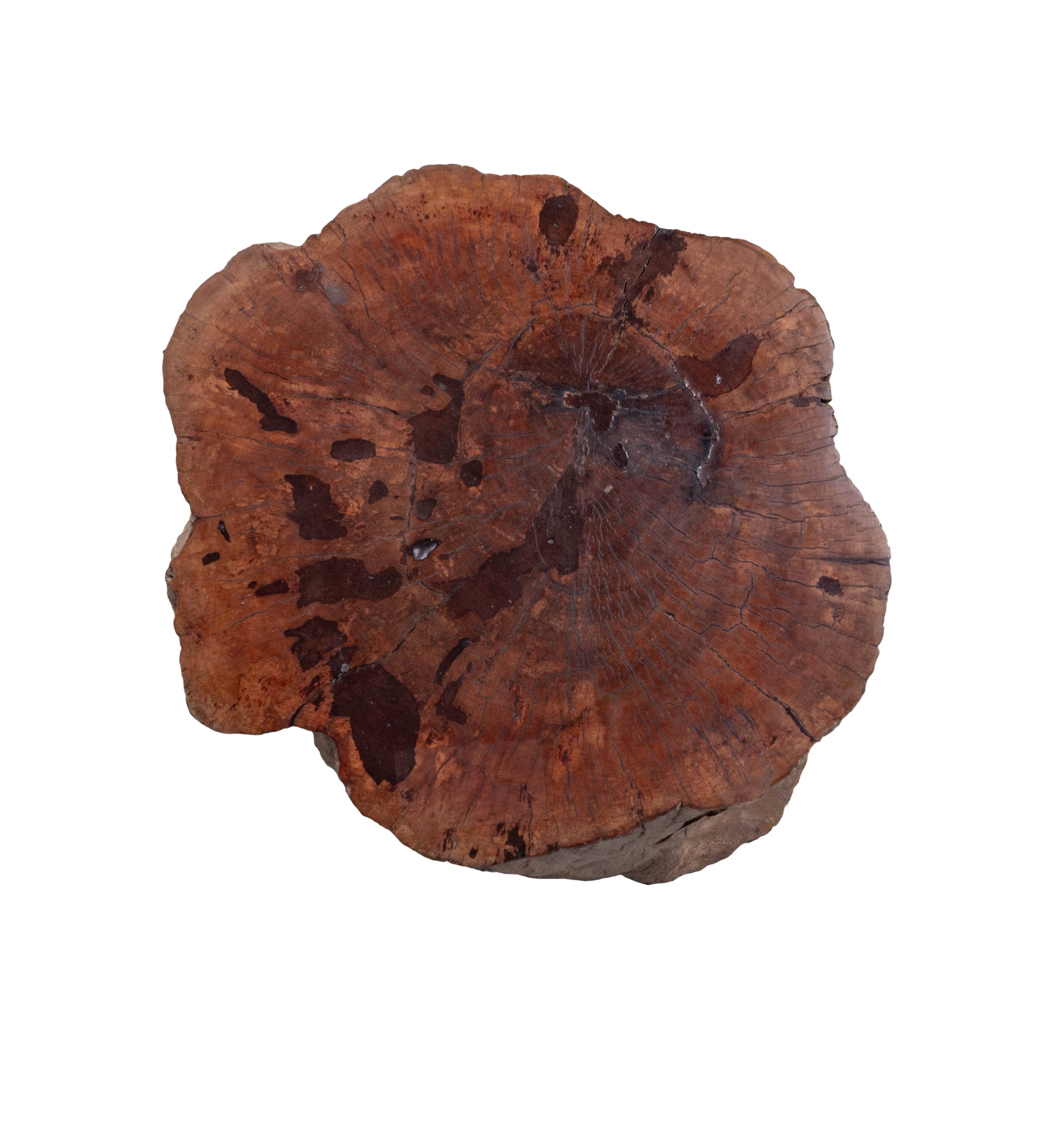 Lychee Wood Organic Form Side Table