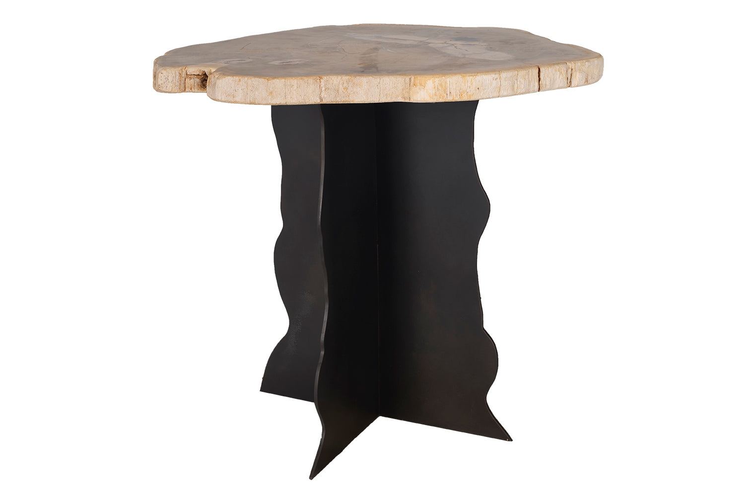 Petrified Wood Top on Free-Hand Ebonized Steel Base End Table