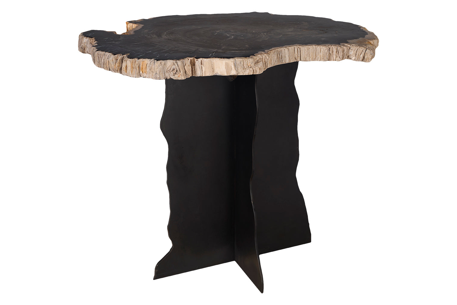 Petrified Wood Top on Free-Hand Ebonized Steel Base End Table