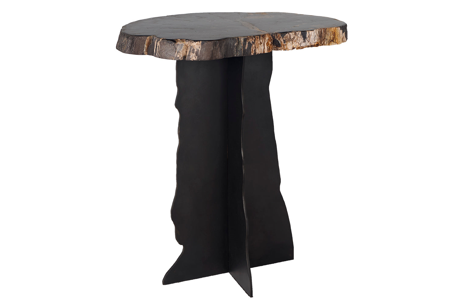 Petrified Wood Top on Free-Hand Ebonized Steel Base End Table