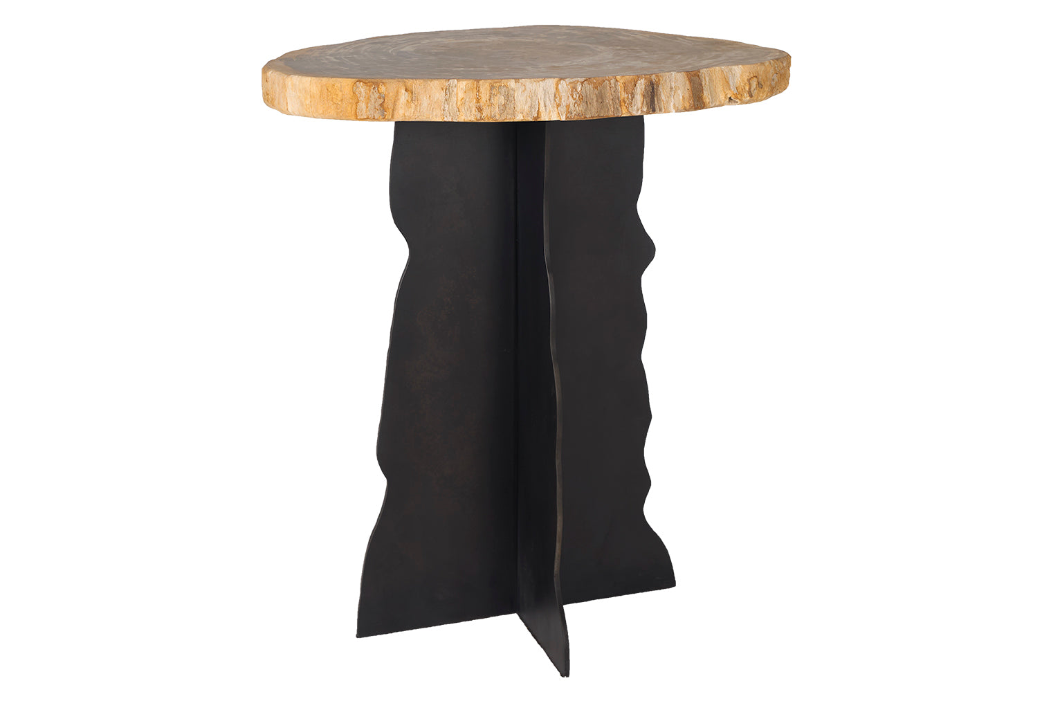 Petrified Wood Top on Free-Hand Ebonized Steel Base End Table