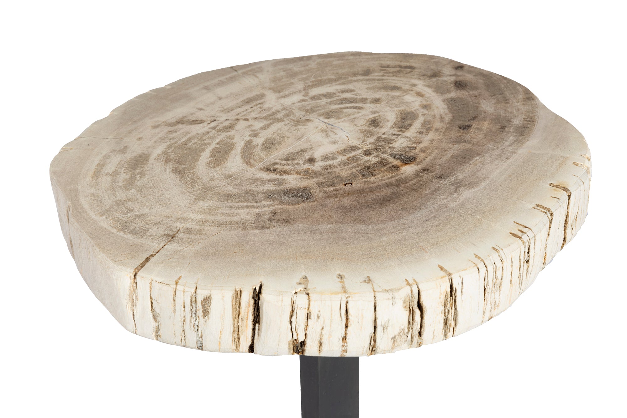 Bark Edge Petrified Wood Drinks Table