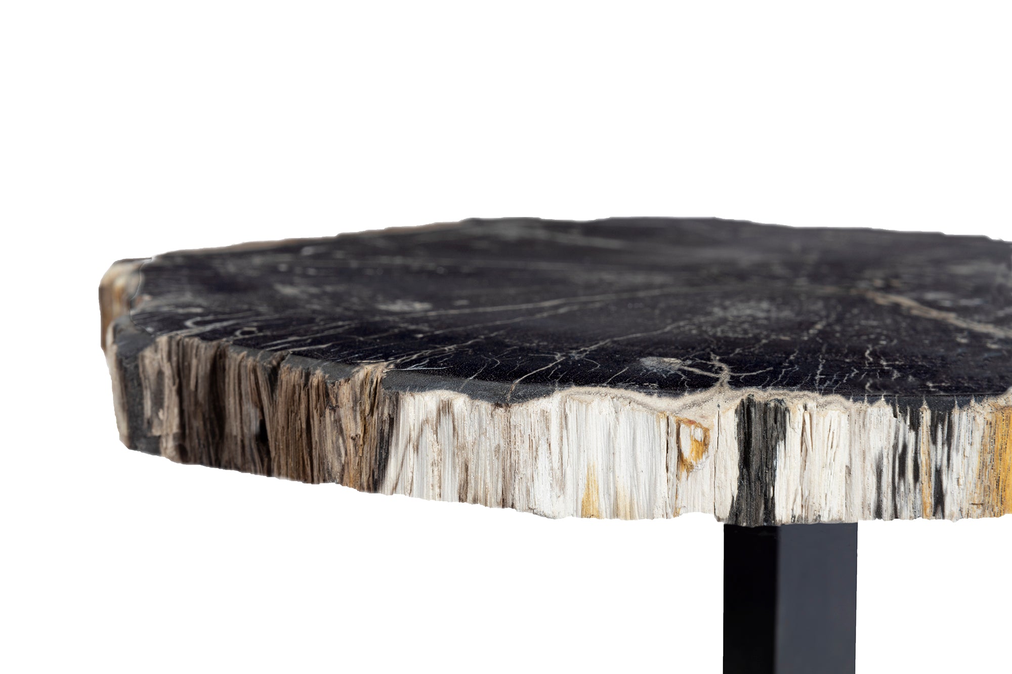 Bark Edge Petrified Wood Drinks Table