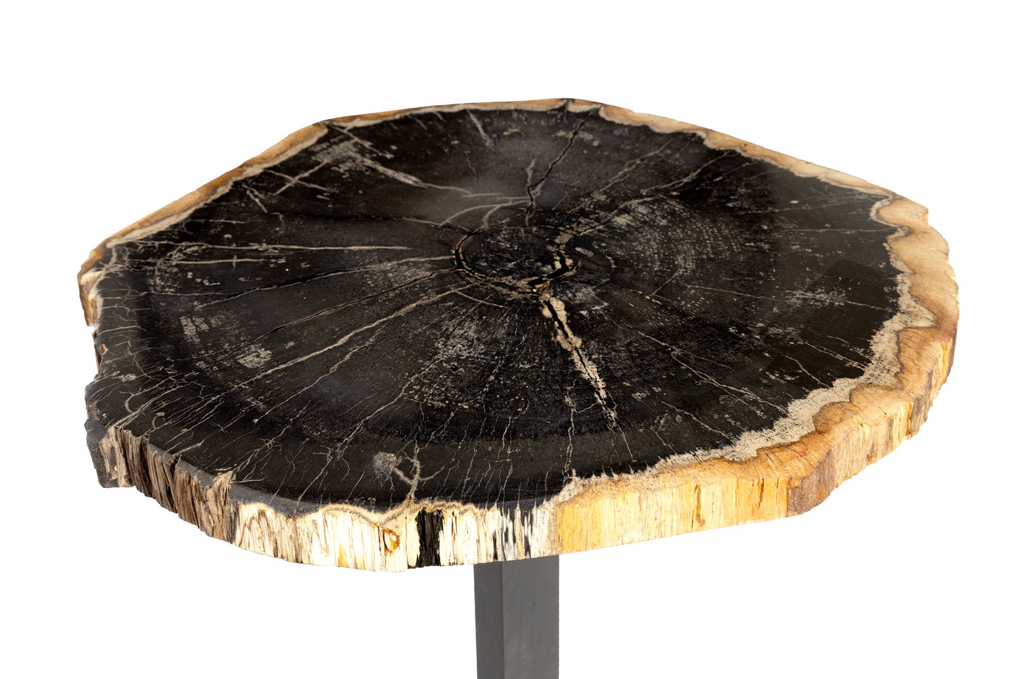 Bark Edge Petrified Wood Drinks Table