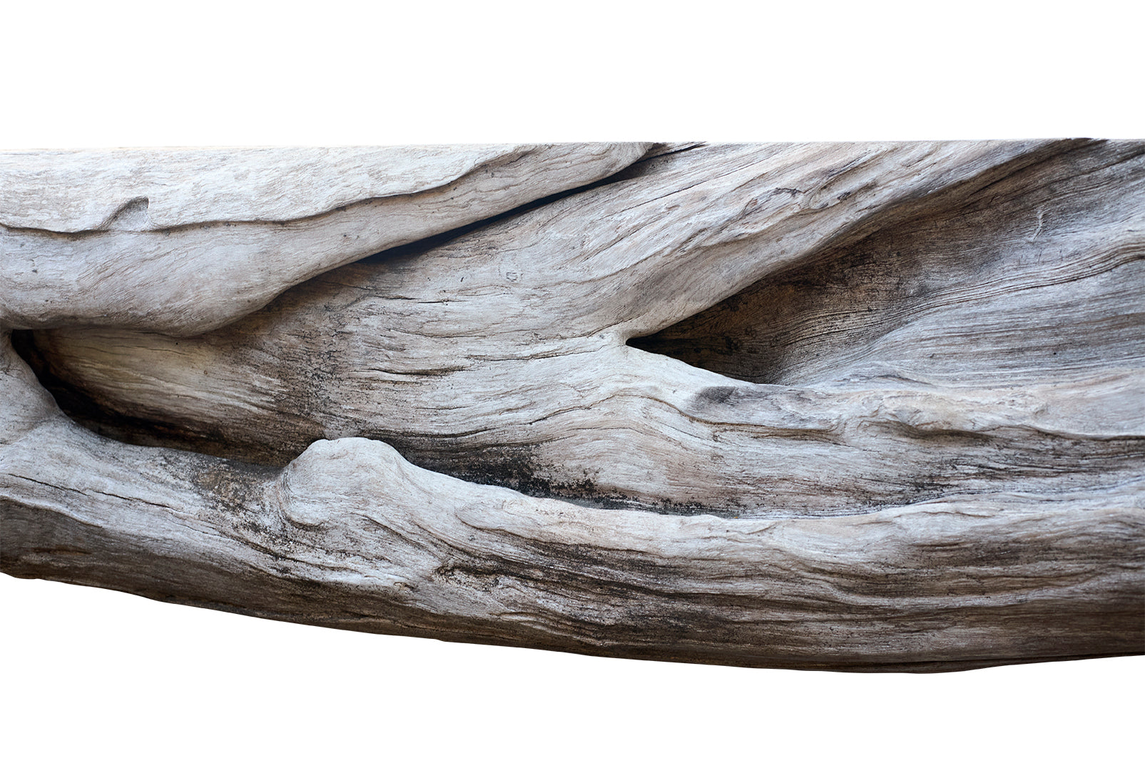 Monumental Bleached Teak Root Wood Console