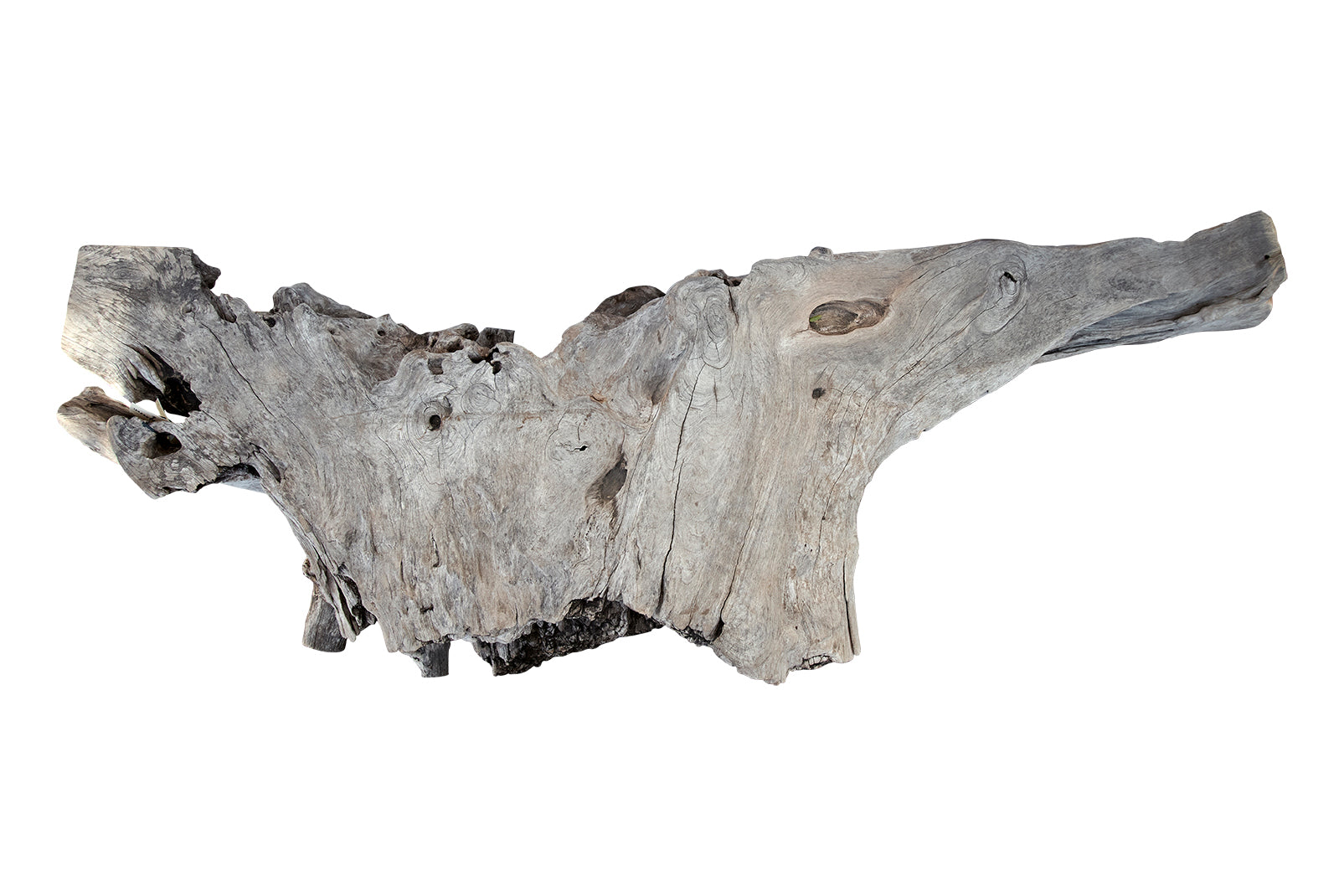 Monumental Bleached Teak Root Wood Console