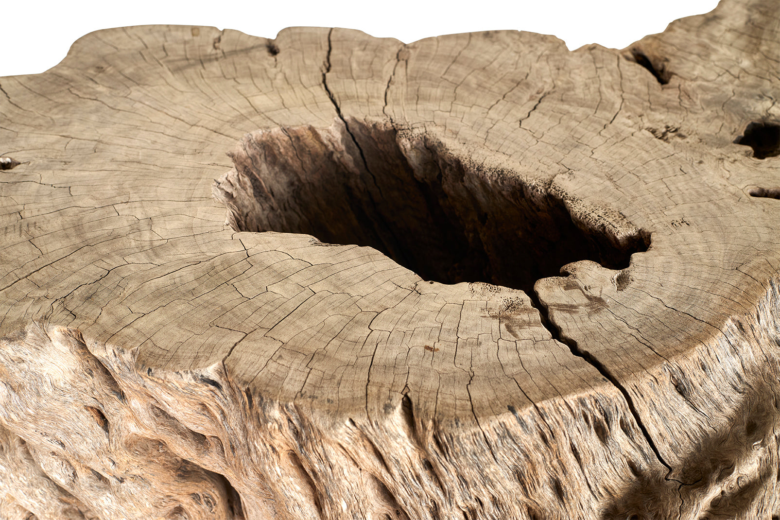 Large Bleached Lychee Wood Console Base
