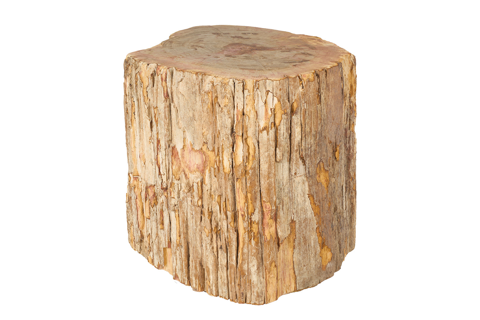 Petrified Stump Wood End Table