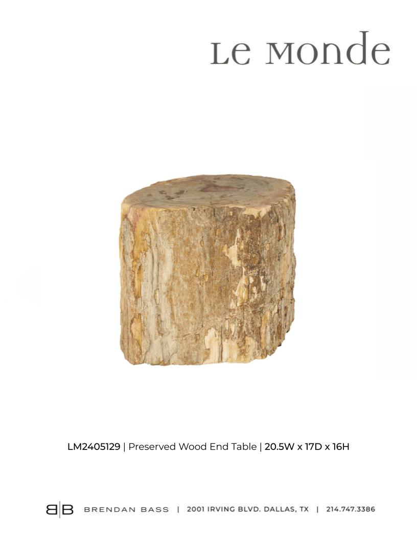 Petrified Stump Wood End Table