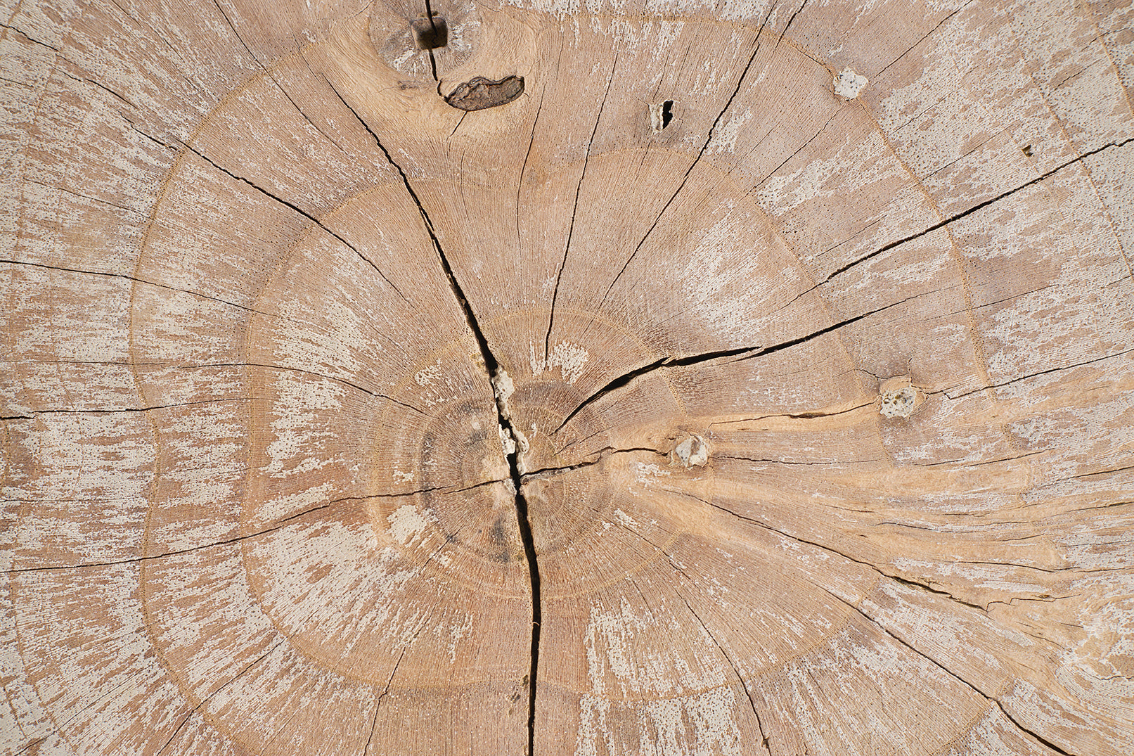 Teakwood Low Stool