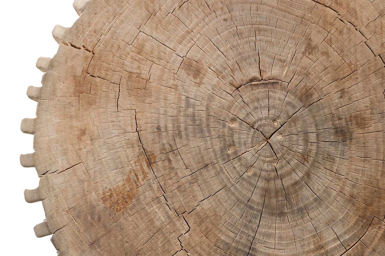 Dime Edge Bleached Lychee Wood Side Table
