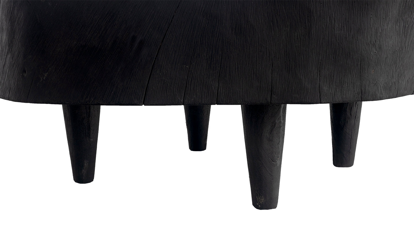 Ebonized Lychee Wood Coffee Table