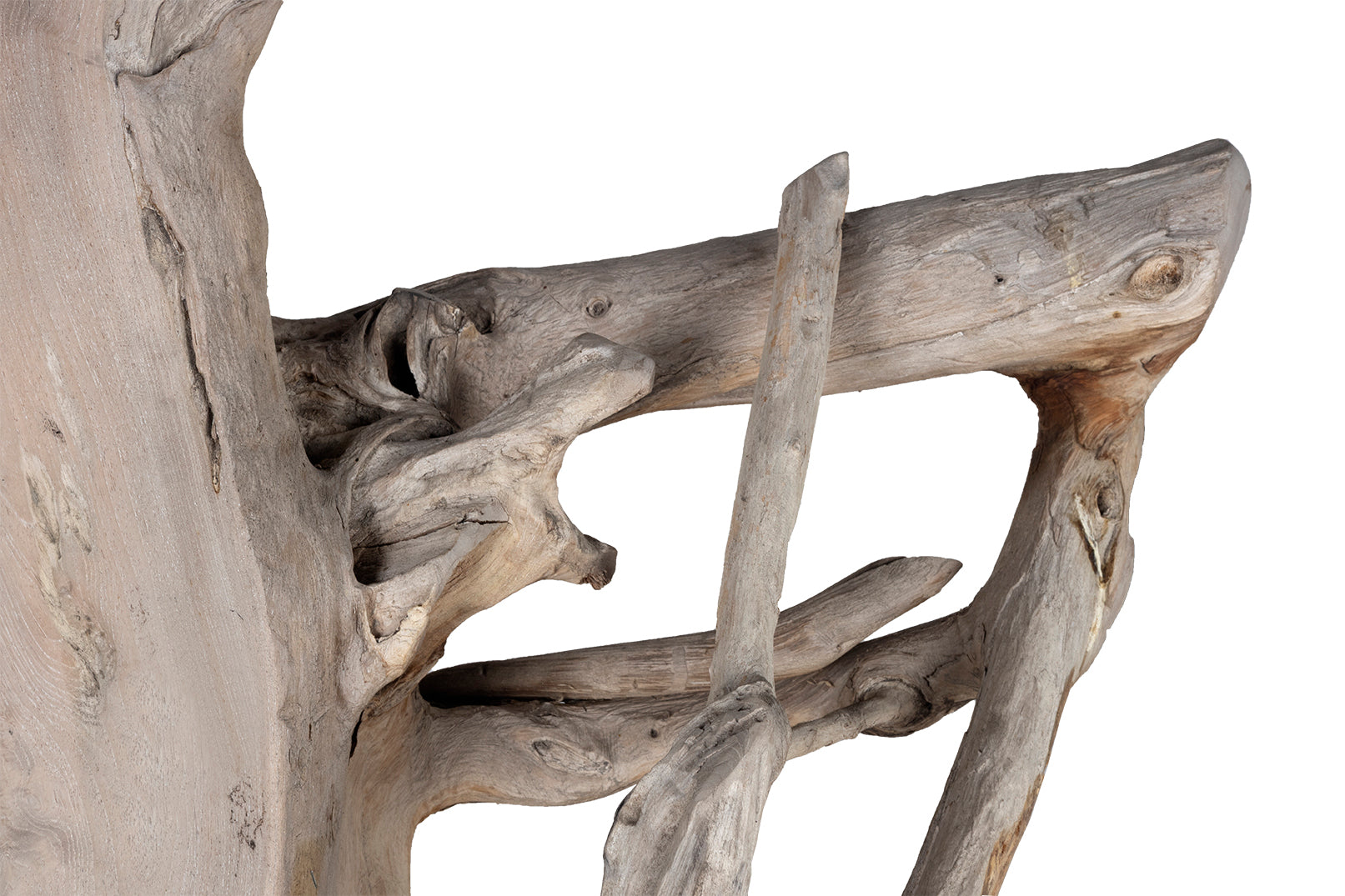 Organic Root Wood Form Outdoor Teak Chair