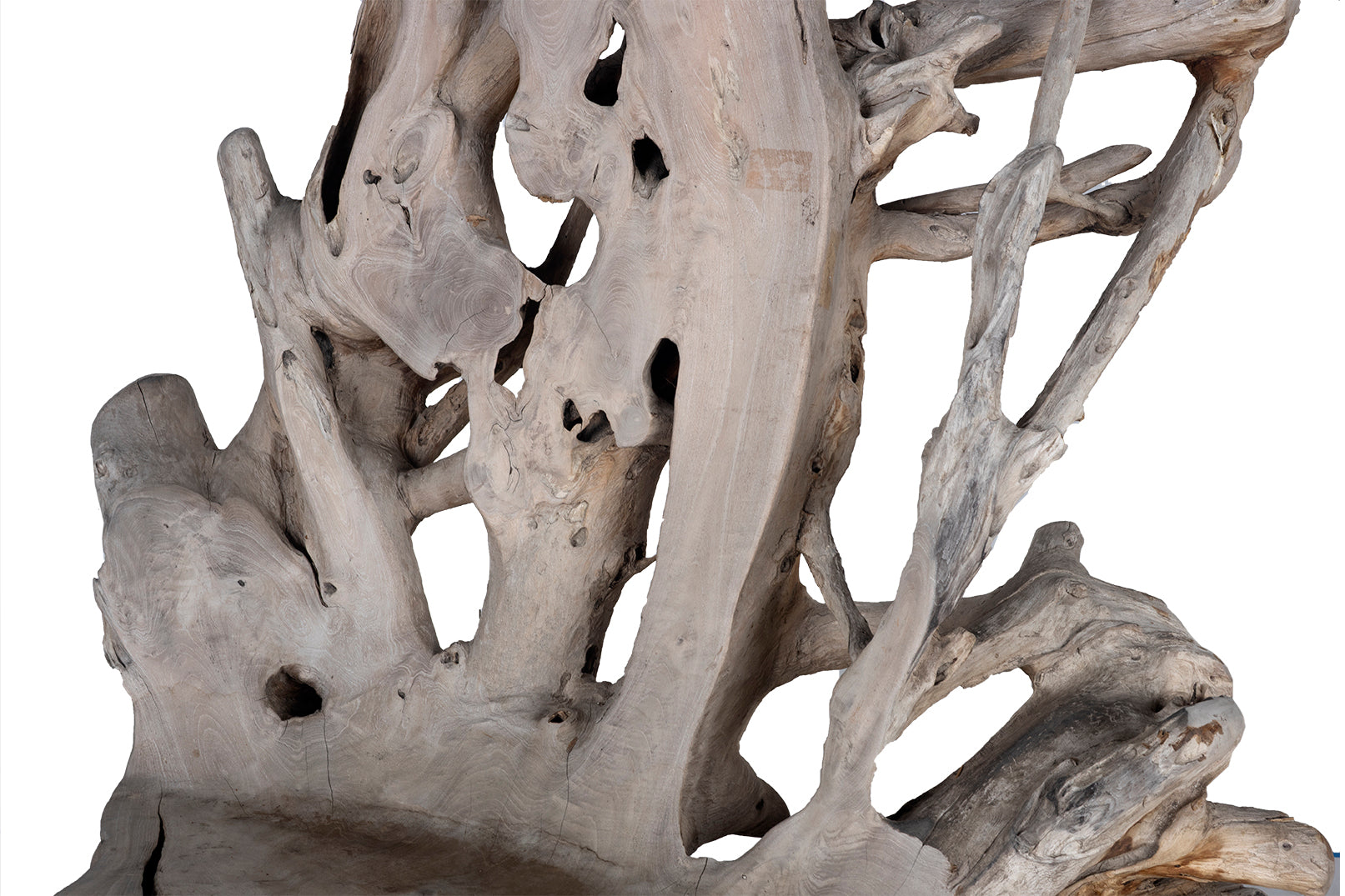 Organic Root Wood Form Outdoor Teak Chair