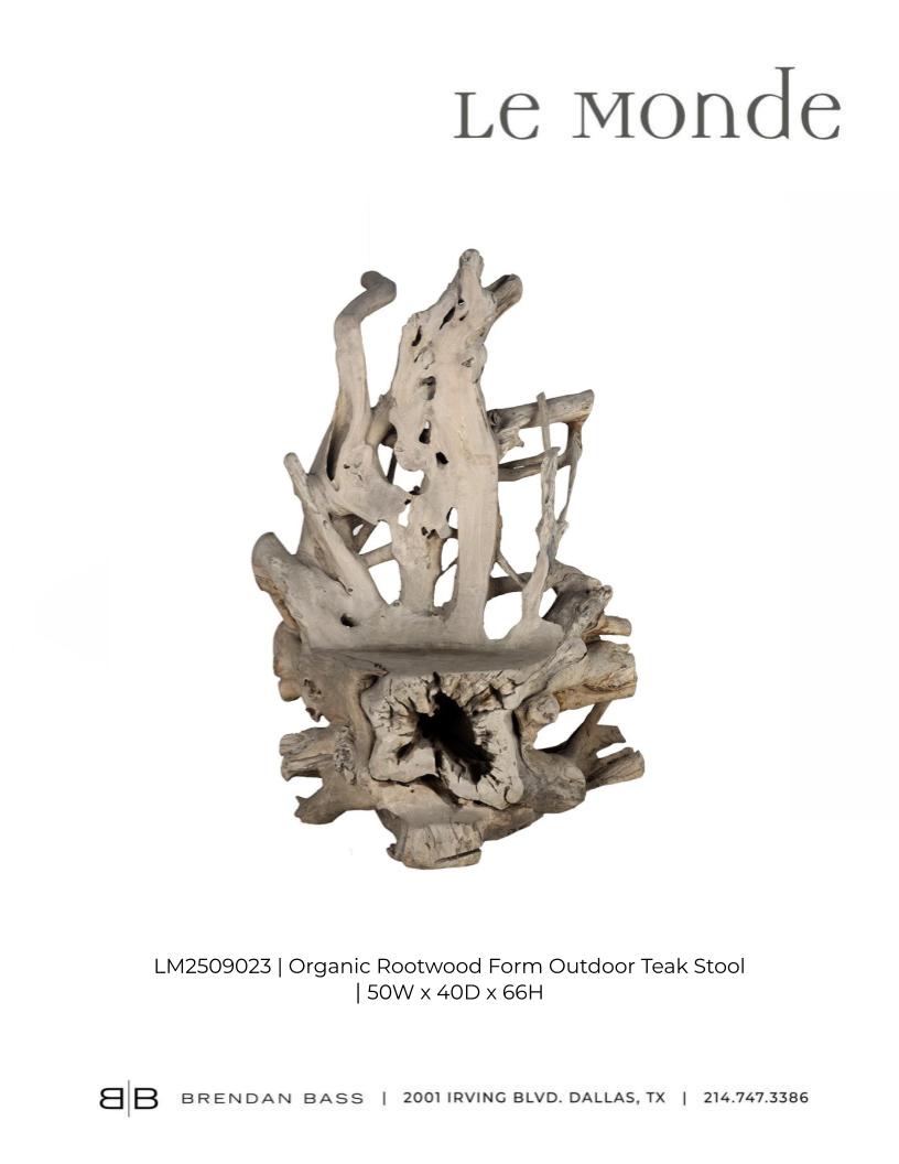 Organic Root Wood Form Outdoor Teak Chair