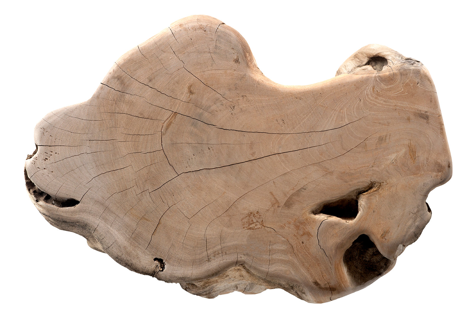 Organic Root Wood Form Teak Side Table