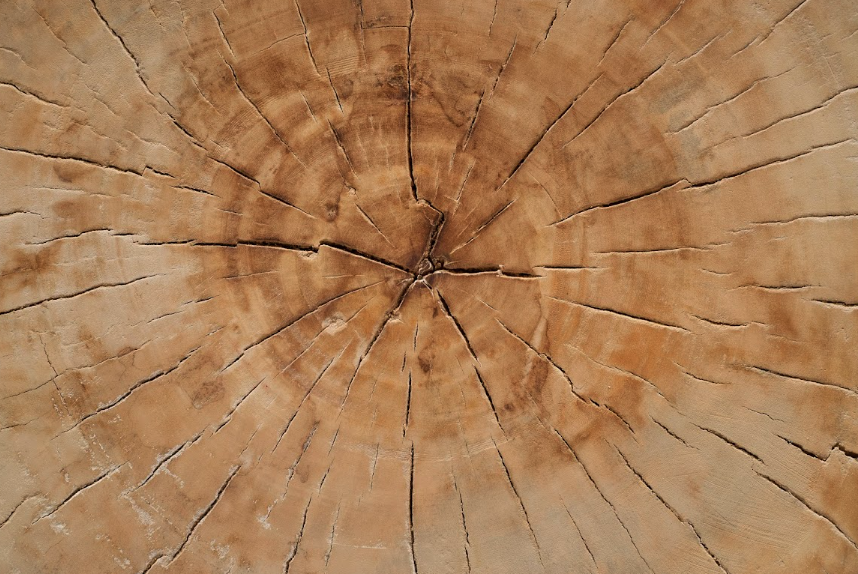 Bleached Round Side Table