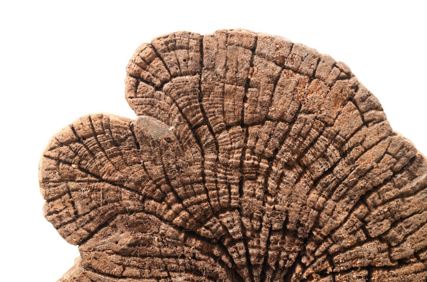 Weathered Teak Display Plinth or Table Base