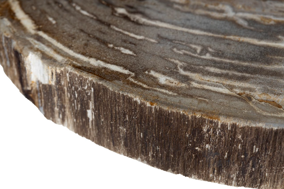 Petrified Wood Side Table
