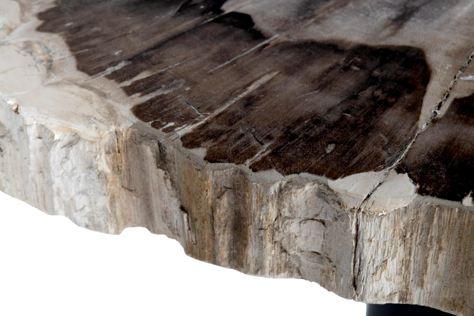 Petrified Wood Side Table